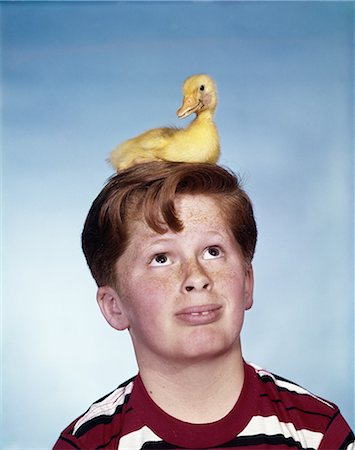 1950s 1960s BOY WITH BABY DUCKLING SITTING ON HIS HEAD HUMOROUS FUNNY EXPRESSION ON FACE Stock Photo - Rights-Managed, Code: 846-03165208
