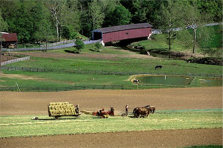 PENNSYLVANIA LANCASTER COUNTY AMISH-FARM Stockbilder - Lizenzpflichtiges, Bildnummer: 846-03165305