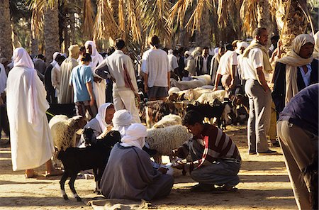 DOUZ, TUNISIA WEEKLY ANIMAL MARKET Stock Photo - Rights-Managed, Code: 846-03165345