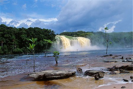 parque nacional canaima - VENEZUELA CANAIMA GRAN SABANA Foto de stock - Con derechos protegidos, Código: 846-03165406