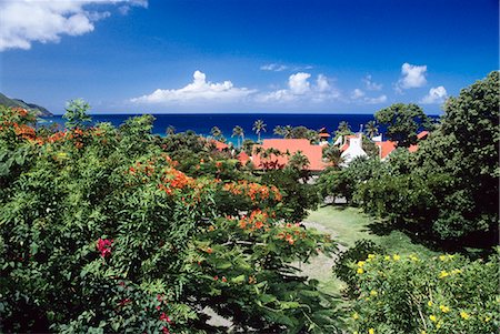 ST. CROIX, ILES VIERGES, ANTILLES DU CÔTÉ NORD DE LA BAIE DAVIS Photographie de stock - Rights-Managed, Code: 846-03165419