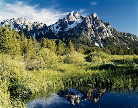 simsearch:846-03164024,k - McGOWAN PEAK CHALLIS NAT'L FOREST IDAHO Foto de stock - Con derechos protegidos, Código: 846-03165596