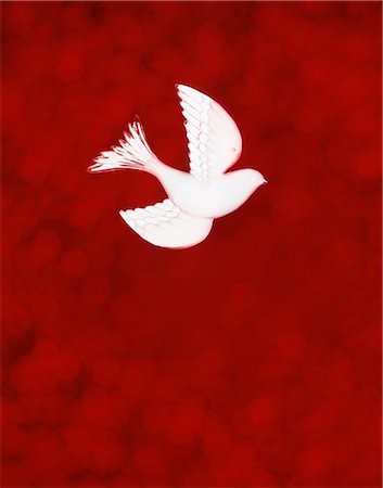 religious symbol - PENTECOST WHITE DOVE ILLUSTRATION RED BACKGROUND Stock Photo - Rights-Managed, Code: 846-03165623