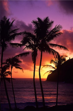HAWAIIAN SUNRISE WITH MAKAPUU POINT LIGHTHOUSE HAWAII Foto de stock - Con derechos protegidos, Código: 846-03165722