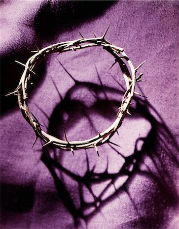 espinhos - CROWN OF THORNS ON PURPLE CLOTH Foto de stock - Direito Controlado, Número: 846-03165774