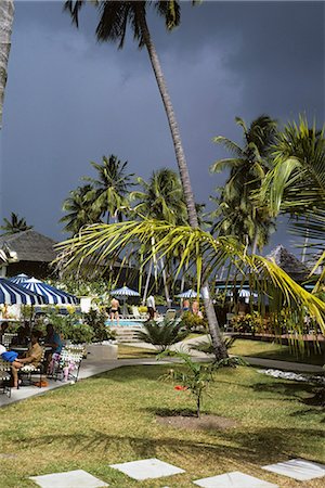 simsearch:846-05645754,k - 1970s CARIBBEAN RESORT HOTEL BEACH PALM TREE Stock Photo - Rights-Managed, Code: 846-03165838