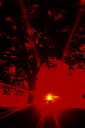 simsearch:846-02794542,k - HOMME MARCHANT SOUS ROUGE SILHOUETTE ARBRE CIEL & JAUNE SUNBURST Photographie de stock - Rights-Managed, Code: 846-03165851