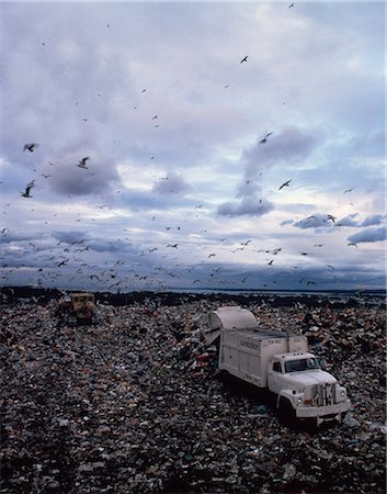 sitio (terreno) - 1980s BIRD FLYING OVER SANITATION TRUCK AT LANDFILL DUMPING SITE Foto de stock - Con derechos protegidos, Código: 846-03165852