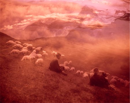 flock of sheep - 1970s SHEPHERD BOYS TENDING SHEEP FIELD WITH PINK FILTER Foto de stock - Con derechos protegidos, Código: 846-03166102