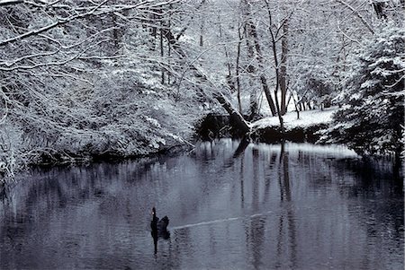 retro winter scene - BLACK SWAN IN POND WITH SNOW Stock Photo - Rights-Managed, Code: 846-03166155