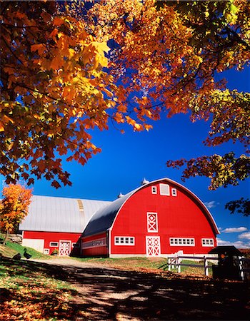 simsearch:846-05646848,k - 1960s 1970s BIG RED BARN AUTUMN FARM SCENIC Stock Photo - Rights-Managed, Code: 846-03163251