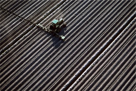 PLOWING FIELD Foto de stock - Con derechos protegidos, Código: 846-03163650