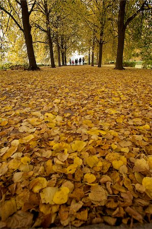 park avenue - Avenue to the Monument to the Battle of the Nations, Leipzig, Saxony, Germany, Europe Stock Photo - Rights-Managed, Code: 841-05784164