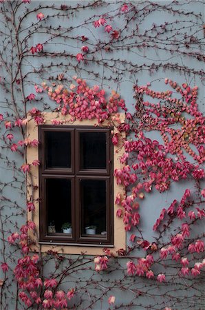 europe windows flowers - Bamberg, Bavaria, Germany, Europe Stock Photo - Rights-Managed, Code: 841-05784180