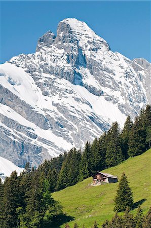 Jungfrau massif and Swiss chalet near Murren, Jungfrau Region, Switzerland, Europe Foto de stock - Con derechos protegidos, Código: 841-05784886