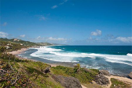Bathsheba Beach, Barbados, Windward Islands, West Indies, Caribbean, Central America Foto de stock - Con derechos protegidos, Código: 841-05784904