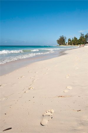 Rockley Beach, Barbados, Windward Islands, West Indies, Caribbean, Central America Foto de stock - Con derechos protegidos, Código: 841-05784908