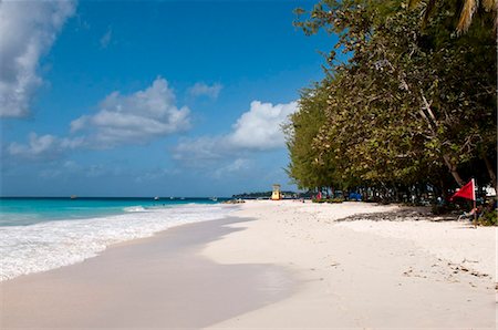 Miami Beach, Barbados, Windward Islands, West Indies, Caribbean, Central America Foto de stock - Con derechos protegidos, Código: 841-05784909