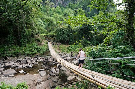 st vincent - Bamboo bridge at Dark View Falls, St. Vincent, St. Vincent and The Grenadines, Windward Islands, West Indies, Caribbean, Central America Foto de stock - Con derechos protegidos, Código: 841-05784931