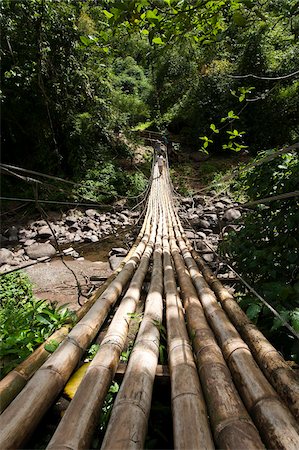 st vincent - Bamboo bridge at Dark View Falls, St. Vincent and The Grenadines, Windward Islands, West Indies, Caribbean, Central America Foto de stock - Con derechos protegidos, Código: 841-05784933