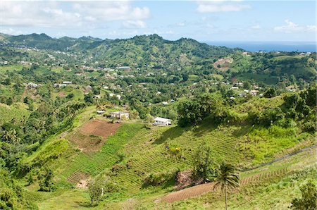 st vincent and the grenadines - Vallée de la Mésopotamie, St, Vincent, St. Vincent et les Grenadines, au vent Iles, Antilles, Caraïbes, Amérique centrale Photographie de stock - Rights-Managed, Code: 841-05784945