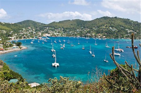 port elizabeth - Port Elizabeth, Bequia, St. Vincent and The Grenadines, Windward Islands, West Indies, Caribbean, Central America Foto de stock - Con derechos protegidos, Código: 841-05784955