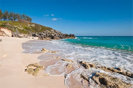 paradise beach - Church Bay park, Bermuda, Central America Foto de stock - Con derechos protegidos, Código: 841-05784976