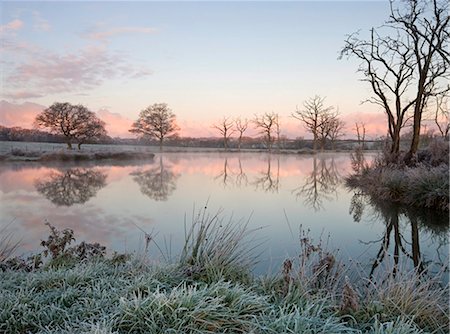 Trees beside a still fishing lake on a frosty morning, Morchard Road, Devon, England, United Kingdom, Europe Stock Photo - Rights-Managed, Code: 841-05785044