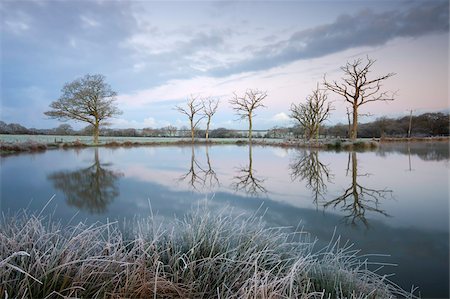 frozen - Frosty conditions at dawn beside a fishing lake in winter, Morchard Bishop, Devon, England, United Kingdom, Europe Foto de stock - Con derechos protegidos, Código: 841-05785042