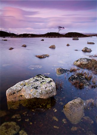 simsearch:841-05847603,k - Lochan n-ah Achlaise on Rannoch Moor in twilight, Highlands, Scotland, United Kingdom, Europe Foto de stock - Con derechos protegidos, Código: 841-05785141