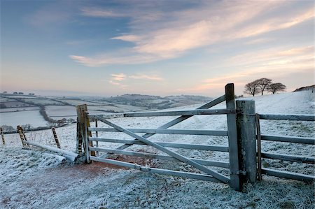 escarcha - Gel couvert porte en bois et sur le terrain en hiver, collines de Raddon, Devon, Angleterre, Royaume-Uni, Europe Photographie de stock - Rights-Managed, Code: 841-05785194