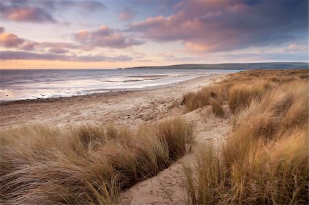 Windswept sand dunes on the beach in winter at Studland Bay, Dorset, England, United Kingdom, Europe Stock Photo - Rights-Managed, Code: 841-05785207