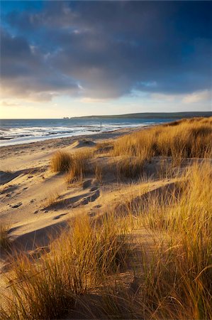 dorset - Studland Beach with views to Old Harry Rocks, Dorset, England, United Kingdom, Europe Foto de stock - Con derechos protegidos, Código: 841-05785208