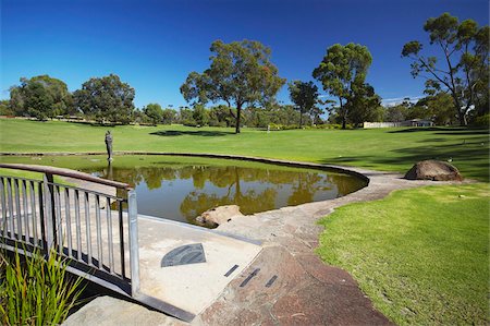 park with pond - King's Park, Perth, Western Australia, Australia, Pacific Stock Photo - Rights-Managed, Code: 841-05785272