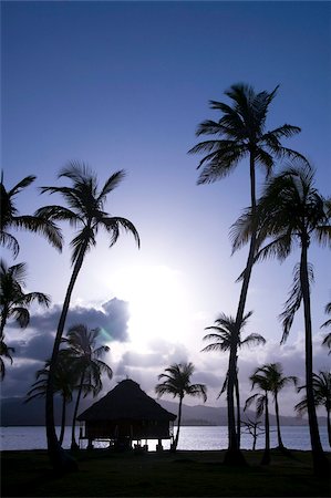 Refuge au fil de l'eau des palmes silhouettés au coucher du soleil, Yandup Island, îles de San Blas (Kuna Yala îles), Panama, Amérique centrale Photographie de stock - Rights-Managed, Code: 841-05785424