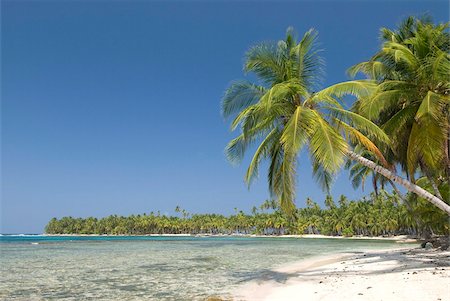 palm tree island - Arridup Island,, San Blas Islands (Kuna Yala Islands), Panama, Central America Stock Photo - Rights-Managed, Code: 841-05785435