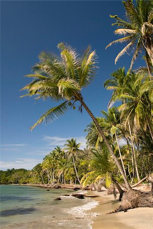 panama - Bocas Del Drago, Isla Colon, Bocas Del Toro, Panama, Central America Foto de stock - Con derechos protegidos, Código: 841-05785431