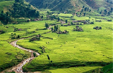 Champs de riz dans la région de Sapa, Nord Vietnam, Vietnam, Indochine, Asie du sud-est, Asie Photographie de stock - Rights-Managed, Code: 841-05785765