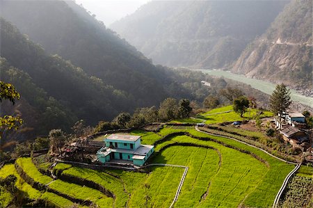 rivers of india - Farm among a green fields close to Rishikesh, Uttarkhand, India, Asia Stock Photo - Rights-Managed, Code: 841-05785762