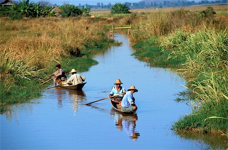 ruderboot - Inle-See, Nyaungshwe, Shan-Staaten, Myanmar, Asien Stockbilder - Lizenzpflichtiges, Bildnummer: 841-05785979