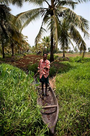 Local man collecting coconut sap for toddy production standing in canoe, Kerala, India, Asia Stock Photo - Rights-Managed, Code: 841-05786033