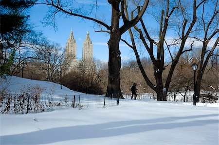 Fresh snow in Central Park, New York City, New York State, United States of America, North America Foto de stock - Con derechos protegidos, Código: 841-05781069