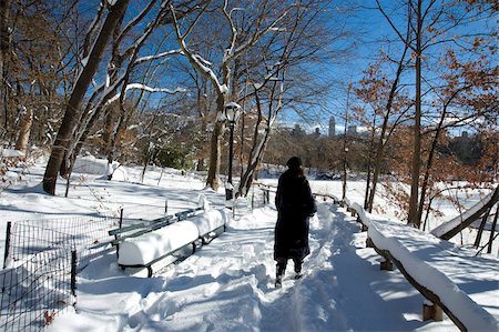 Fresh snow in Central Park after a blizzard, New York City, New York State, United States of America, North America Foto de stock - Con derechos protegidos, Código: 841-05781071