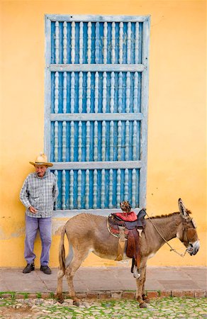 equus africanus asinus - Local man with his donkey outside the Galaria de Arts, Trinidad, Cuba, West Indies, Central America Foto de stock - Con derechos protegidos, Código: 841-05781403