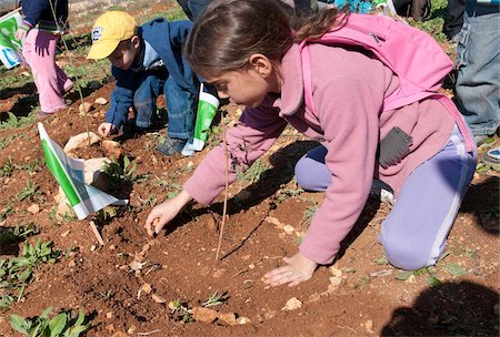 ecologic - Tu Beshvat Jewish festival, tree planting event organized by the JNF in a Jerusalem park, Jerusalem, Israel, Middle East Foto de stock - Con derechos protegidos, Código: 841-05781876