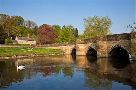 swan river - The bridge over the River Wye, Bakewell, Peak District National Park, Derbyshire, England, United Kingdom, Europe Foto de stock - Con derechos protegidos, Código: 841-05782380