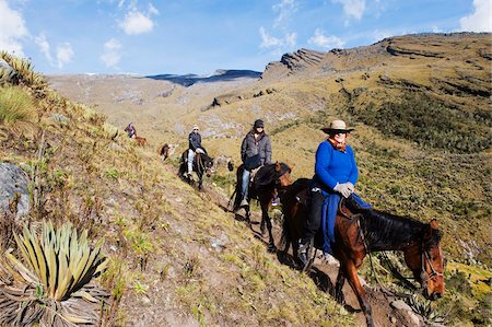 À cheval El Cocuy National Park, Colombie, Amérique du Sud Photographie de stock - Rights-Managed, Code: 841-05782640