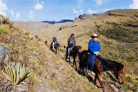 Horse riding in El Cocuy National Park, Colombia, South America Stock Photo - Rights-Managed, Code: 841-05782640