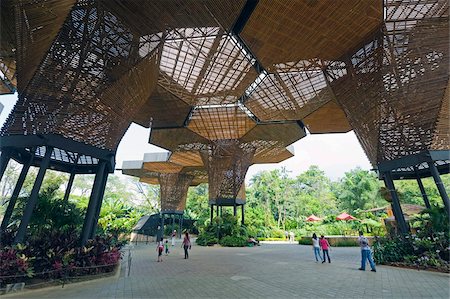 Jardin Botanico Joaquin Antonio Uribe (Botanical Gardens), Medellin, Colombia, South America Fotografie stock - Rights-Managed, Codice: 841-05782705