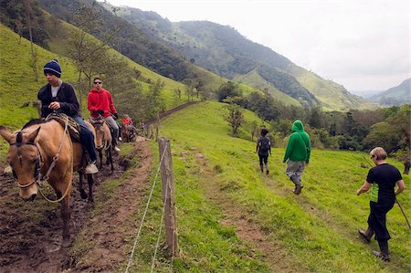 rastro animal - Horse riding and hiking in Cocora Valley, Salento, Colombia, South America Foto de stock - Con derechos protegidos, Código: 841-05782710